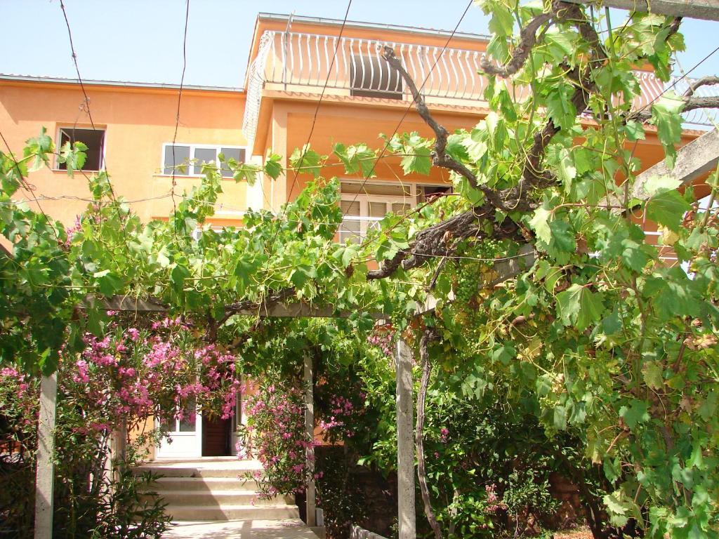 Apartments Jerkovic สตารีกราด ภายนอก รูปภาพ